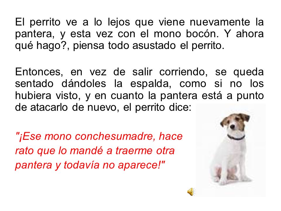 El perrito ve a lo lejos que viene nuevamente la pantera, y esta vez con el mono bocón. Y ahora qué hago , piensa todo asustado el perrito.