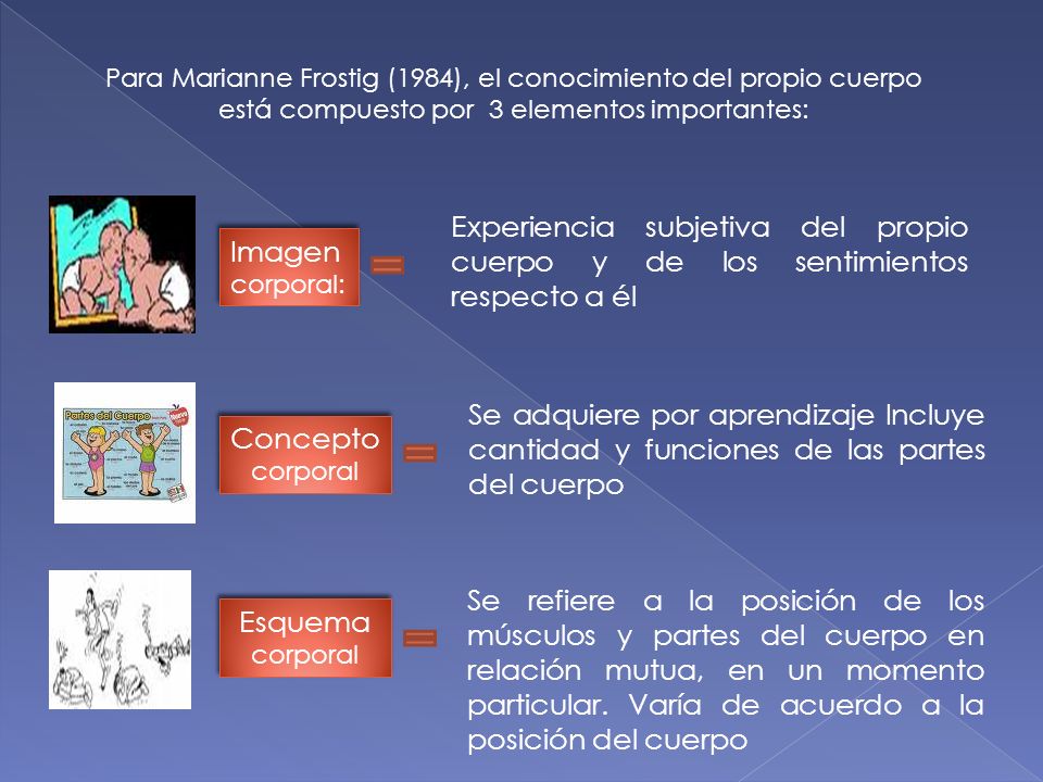 Para Marianne Frostig (1984), el conocimiento del propio cuerpo está compuesto por 3 elementos importantes: