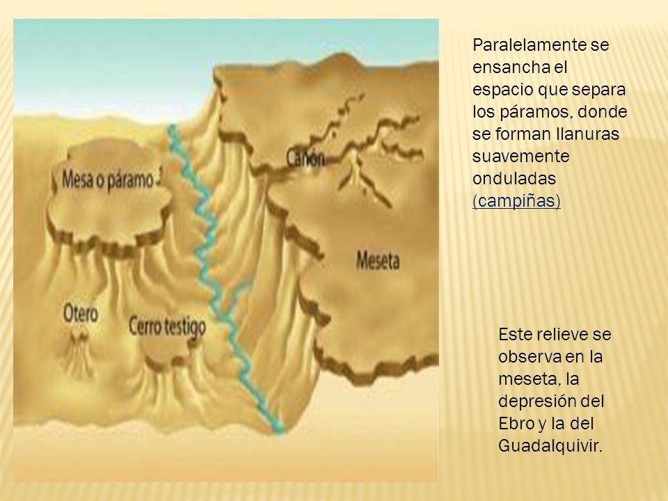 Paralelamente se ensancha el espacio que separa los páramos, donde se forman llanuras suavemente onduladas (campiñas)