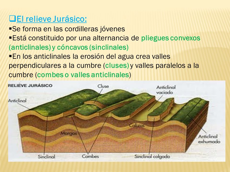El relieve Jurásico: Se forma en las cordilleras jóvenes