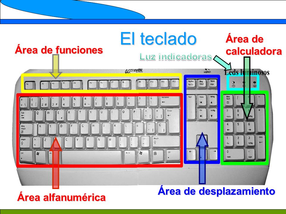 El teclado Área de calculadora Área de funciones