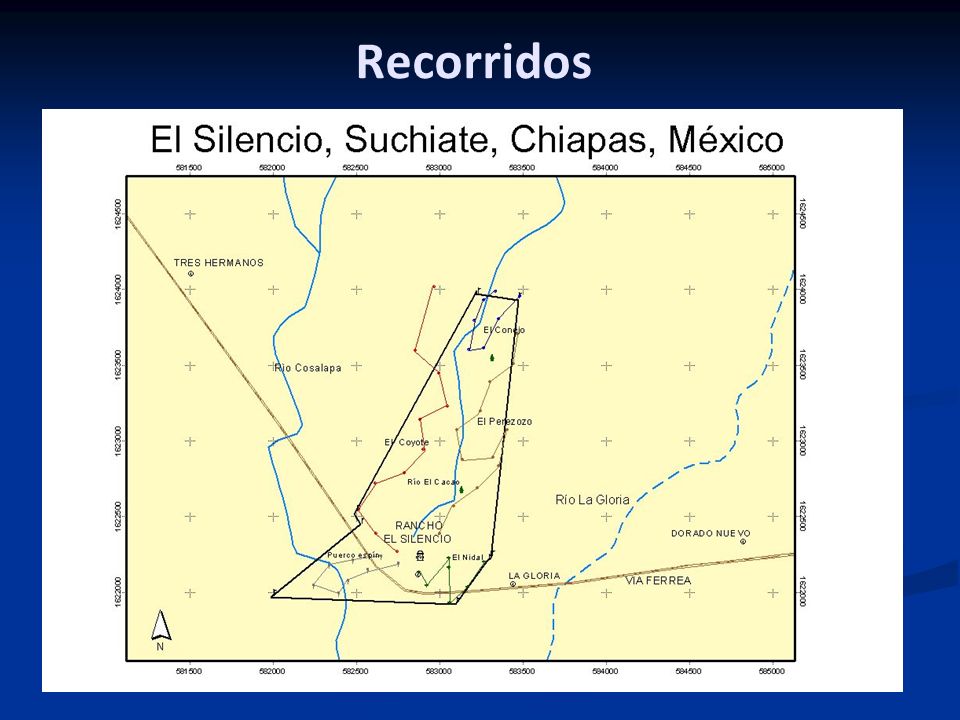 Recorridos