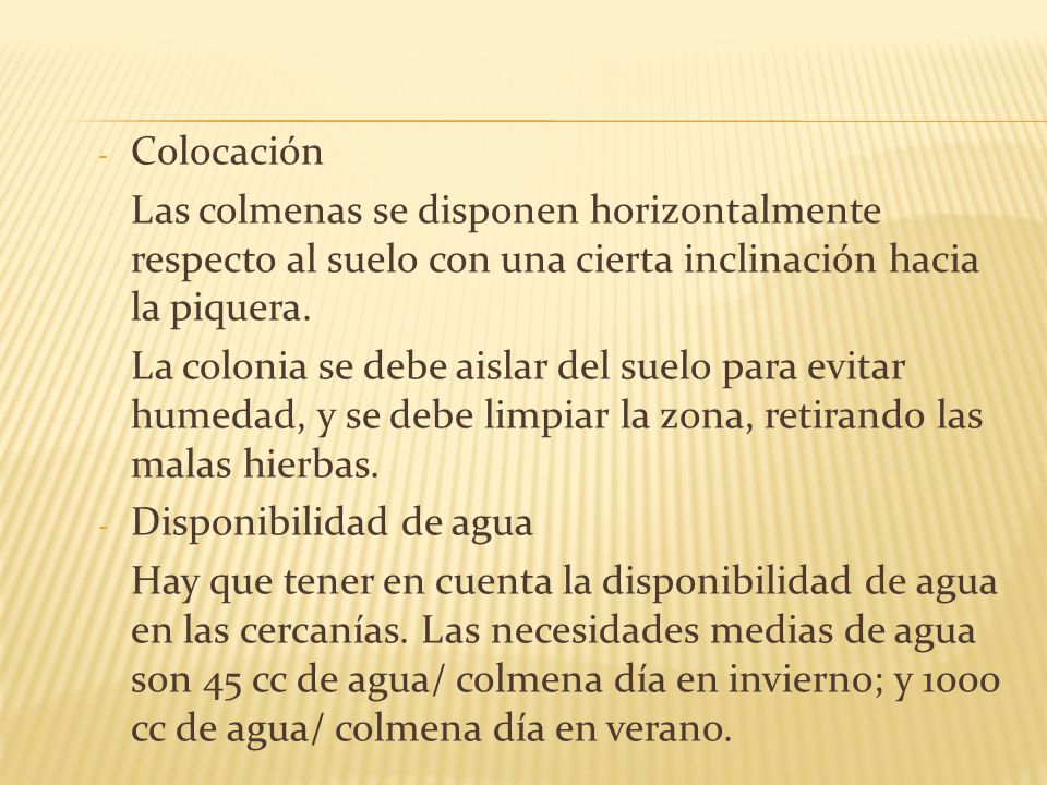 Colocación Las colmenas se disponen horizontalmente respecto al suelo con una cierta inclinación hacia la piquera.