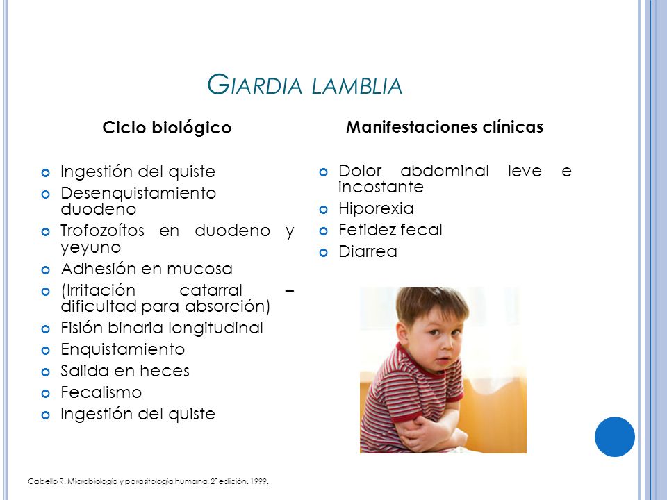 giardia lamblia giardia sintomas en la piel