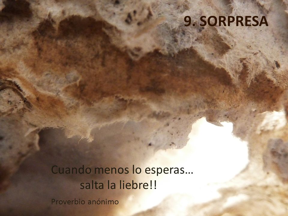9. SORPRESA Cuando menos lo esperas… salta la liebre!! Proverbio anónimo