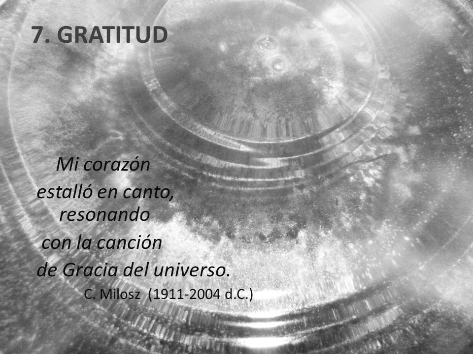 7. GRATITUD Mi corazón estalló en canto, resonando con la canción de Gracia del universo.