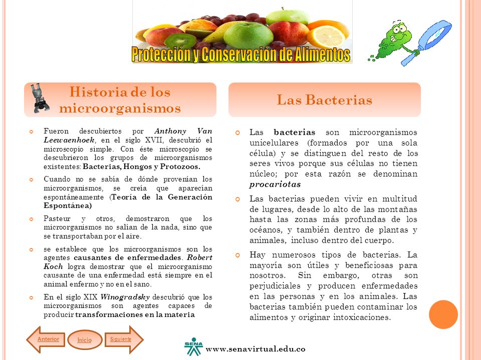 Historia de los microorganismos