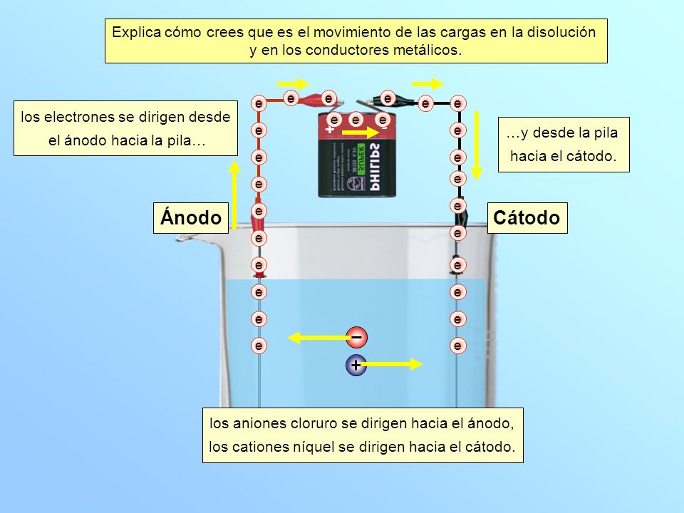 Explica cómo crees que es el movimiento de las cargas en la disolución