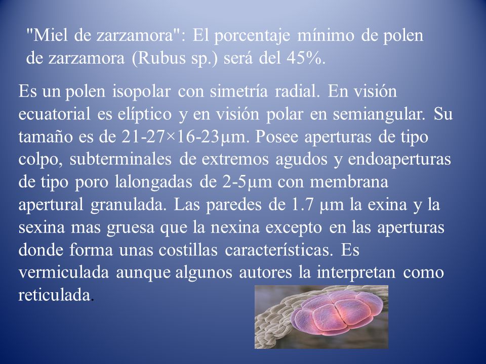 Miel de zarzamora : El porcentaje mínimo de polen de zarzamora (Rubus sp.) será del 45%.