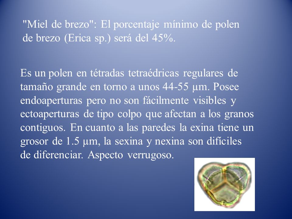 Miel de brezo : El porcentaje mínimo de polen de brezo (Erica sp