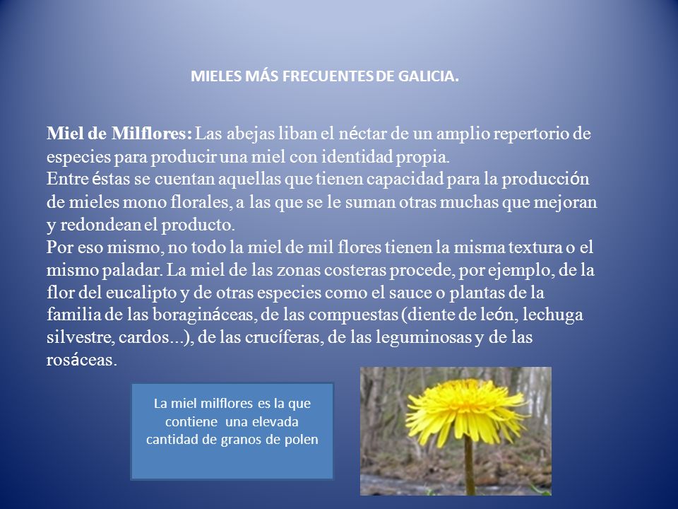 MIELES MÁS FRECUENTES DE GALICIA.