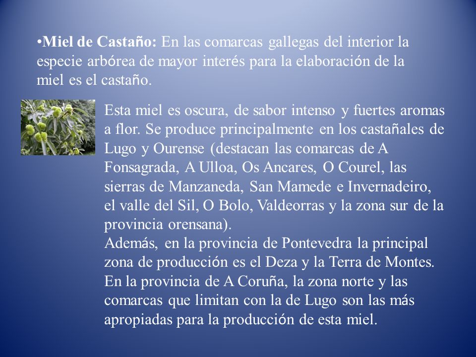 Miel de Castaño: En las comarcas gallegas del interior la especie arbórea de mayor interés para la elaboración de la miel es el castaño.
