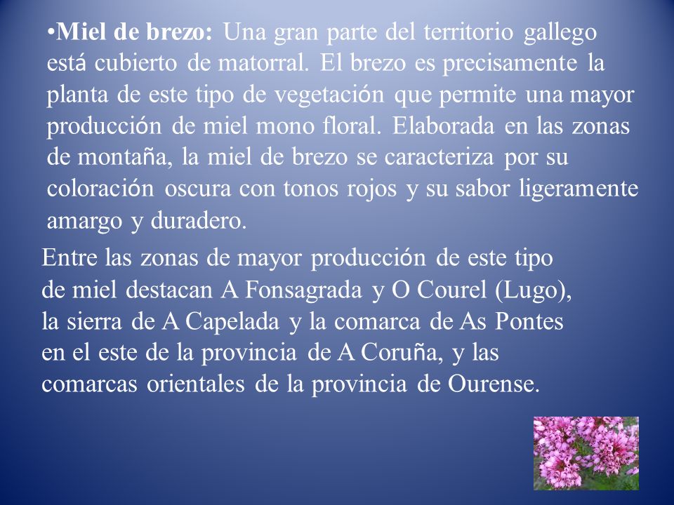 Miel de brezo: Una gran parte del territorio gallego está cubierto de matorral. El brezo es precisamente la planta de este tipo de vegetación que permite una mayor producción de miel mono floral. Elaborada en las zonas de montaña, la miel de brezo se caracteriza por su coloración oscura con tonos rojos y su sabor ligeramente amargo y duradero.