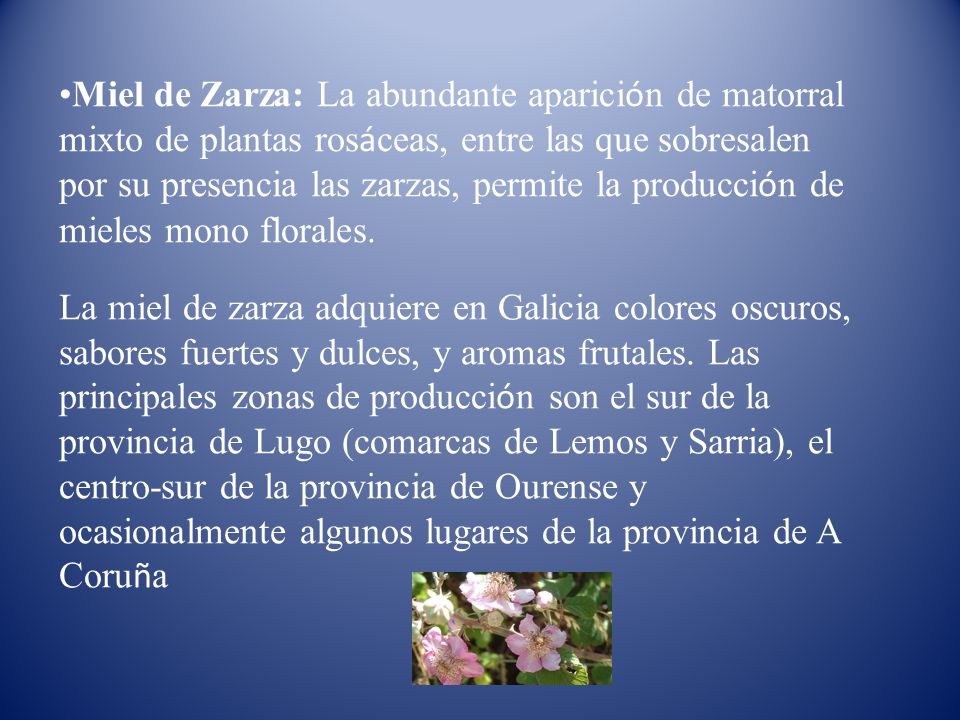 Miel de Zarza: La abundante aparición de matorral mixto de plantas rosáceas, entre las que sobresalen por su presencia las zarzas, permite la producción de mieles mono florales.