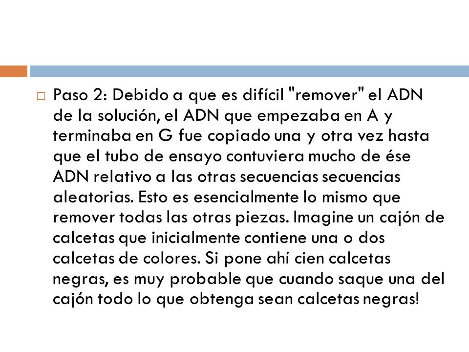 Paso 2: Debido a que es difícil remover el ADN de la solución, el ADN que empezaba en A y terminaba en G fue copiado una y otra vez hasta que el tubo de ensayo contuviera mucho de ése ADN relativo a las otras secuencias secuencias aleatorias.