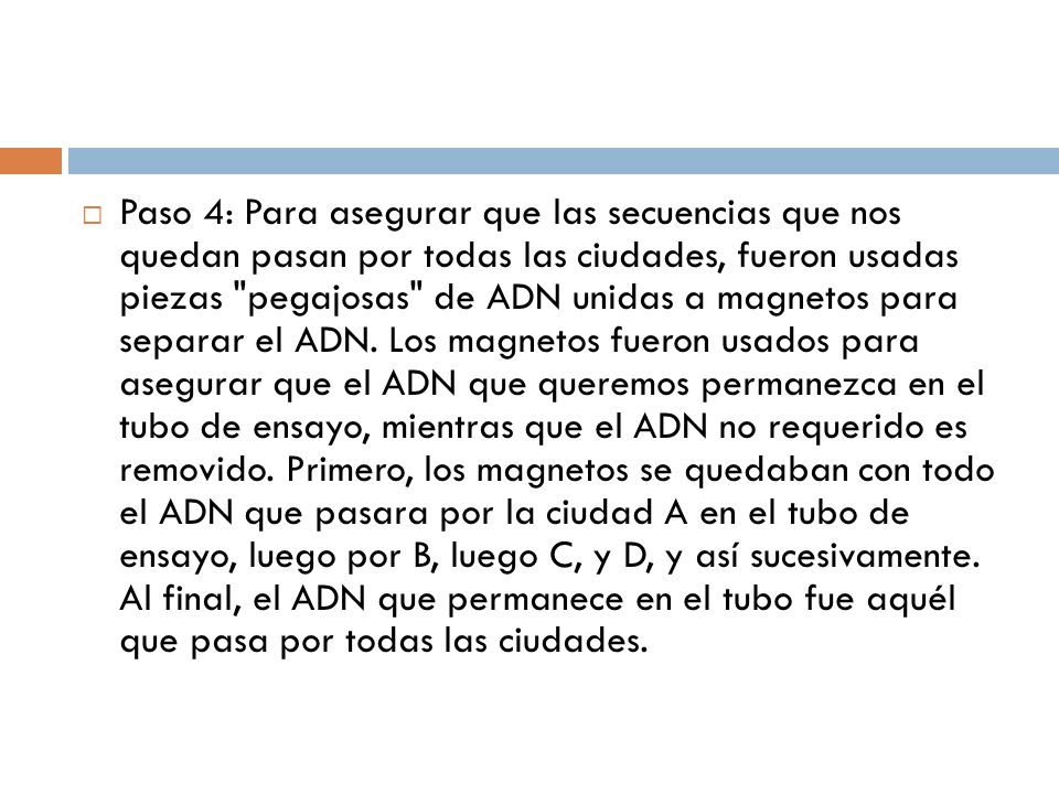 Paso 4: Para asegurar que las secuencias que nos quedan pasan por todas las ciudades, fueron usadas piezas pegajosas de ADN unidas a magnetos para separar el ADN.