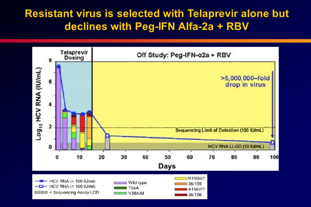 Resistant virus is selected with Telaprevir alone but declines with Peg-IFN Alfa-2a + RBV