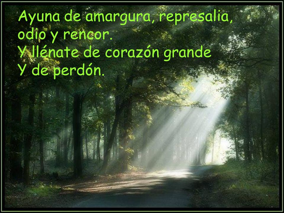 Ayuna de amargura, represalia, odio y rencor.