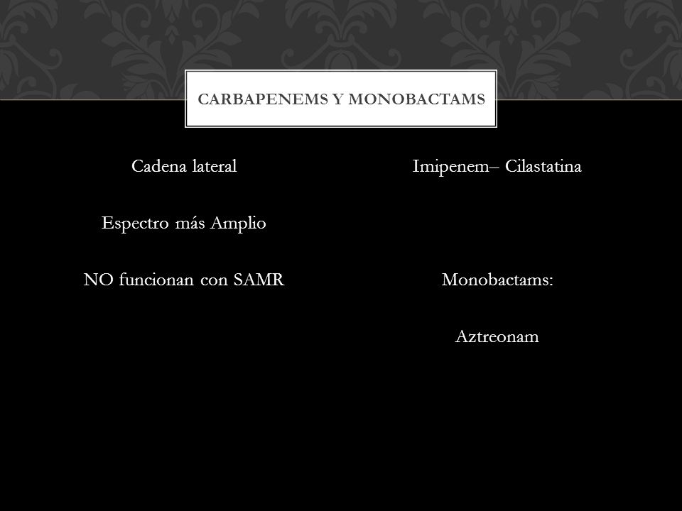 Carbapenems y monobactams