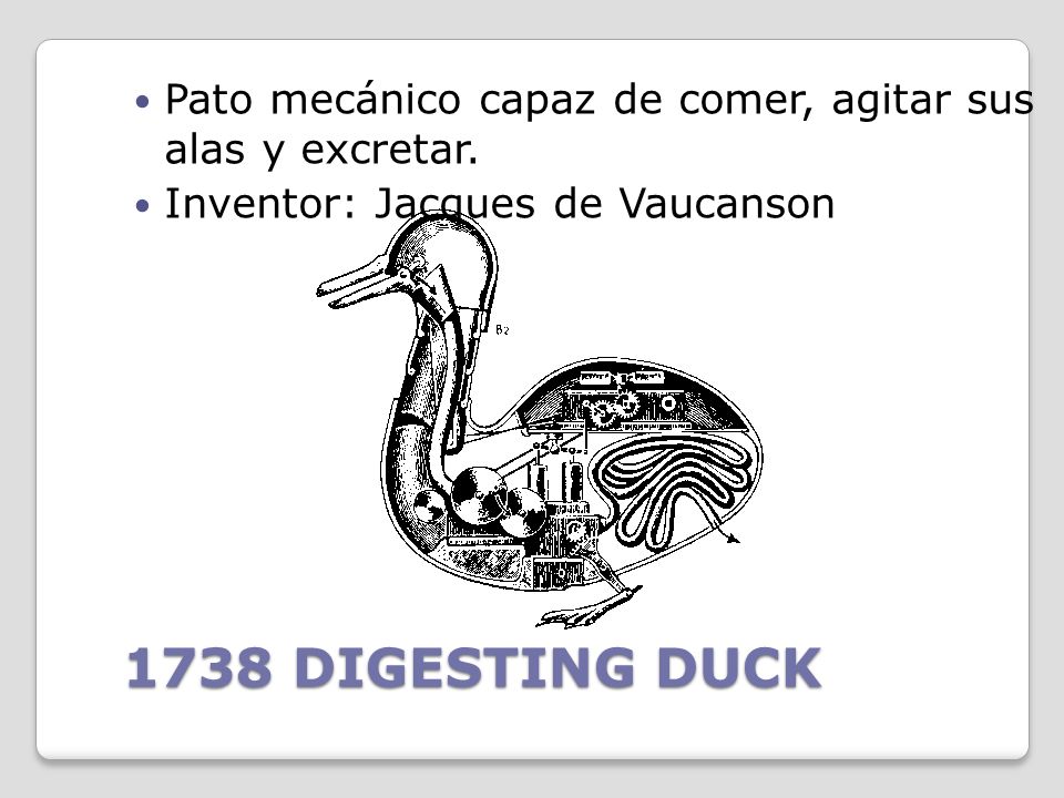 Pato mecánico capaz de comer, agitar sus alas y excretar.