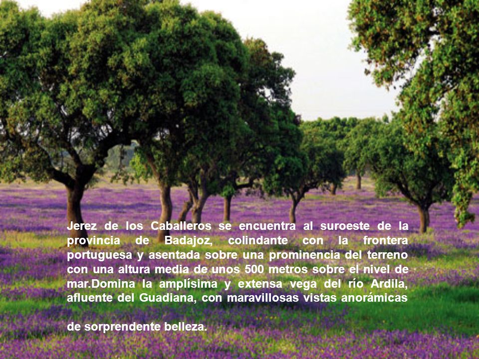 Jerez de los Caballeros se encuentra al suroeste de la provincia de Badajoz, colindante con la frontera portuguesa y asentada sobre una prominencia del terreno con una altura media de unos 500 metros sobre el nivel de mar.Domina la amplísima y extensa vega del río Ardila, afluente del Guadiana, con maravillosas vistas anorámicas de sorprendente belleza.