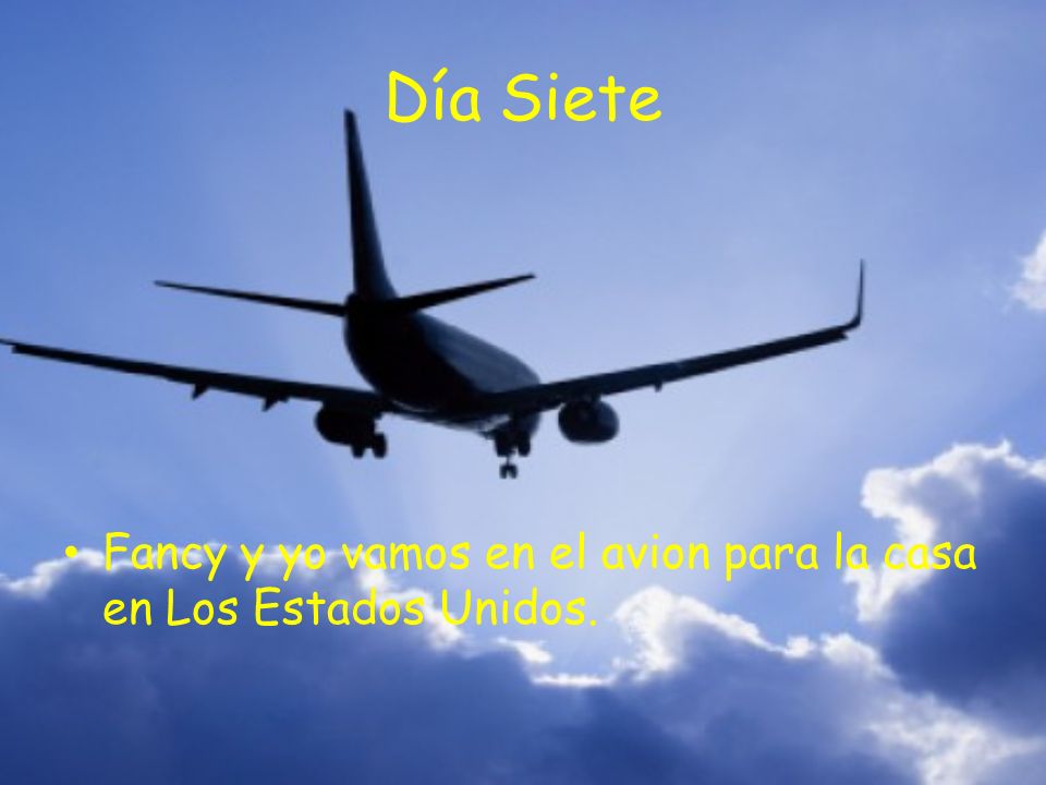 Día Siete Fancy y yo vamos en el avion para la casa en Los Estados Unidos.
