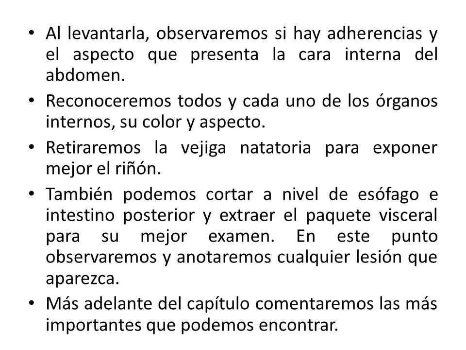 Al levantarla, observaremos si hay adherencias y el aspecto que presenta la cara interna del abdomen.