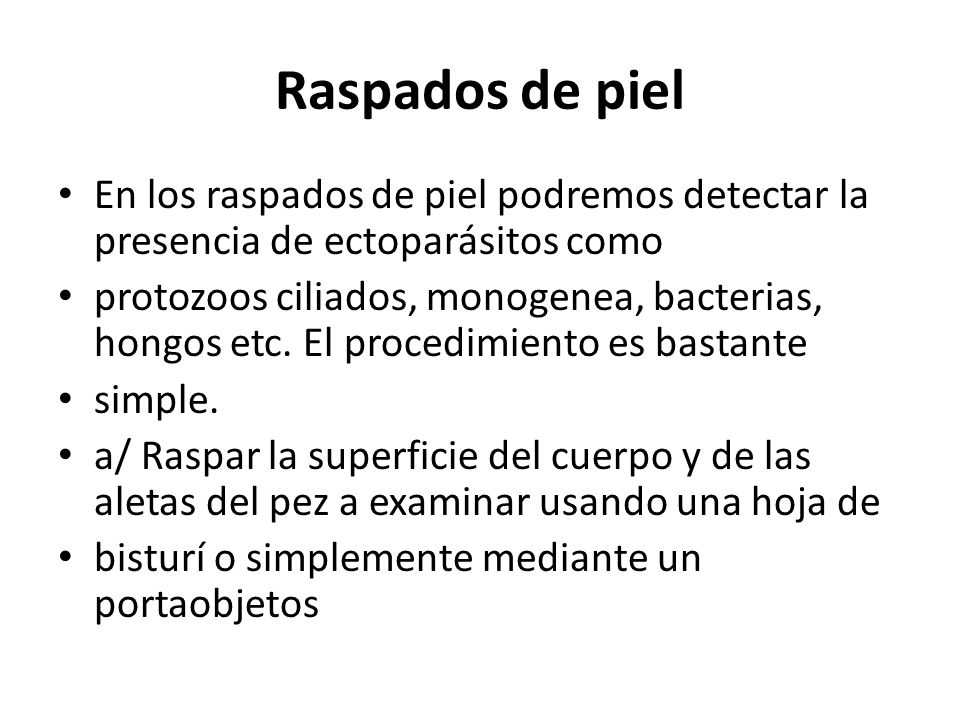 Raspados de piel En los raspados de piel podremos detectar la presencia de ectoparásitos como.