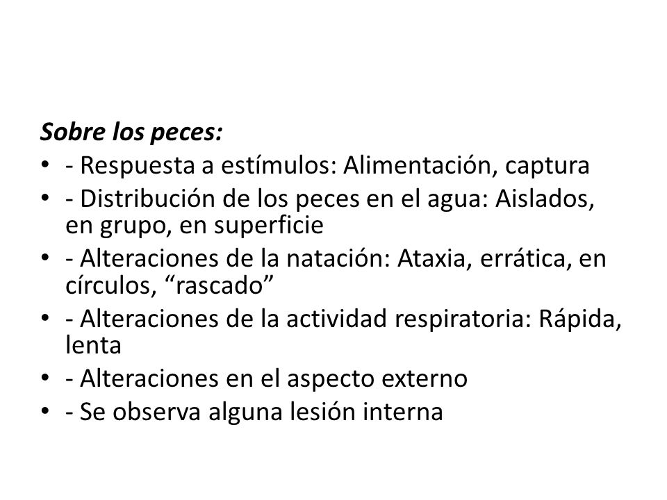 Sobre los peces: - Respuesta a estímulos: Alimentación, captura. - Distribución de los peces en el agua: Aislados, en grupo, en superficie.