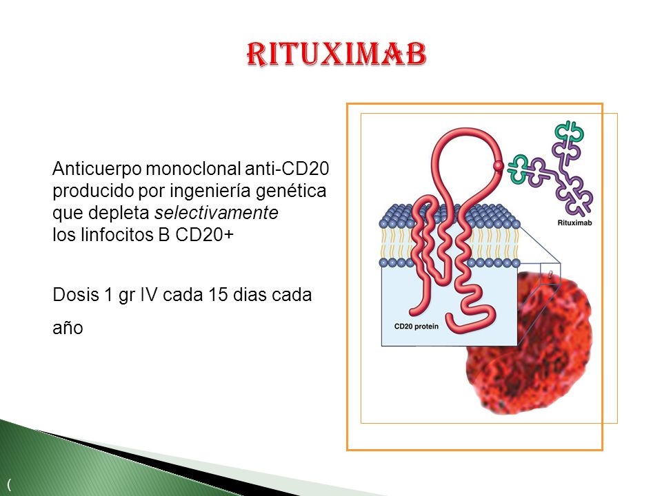 Rituximab Anticuerpo monoclonal anti-CD20 producido por ingeniería genética que depleta selectivamente los linfocitos B CD20+