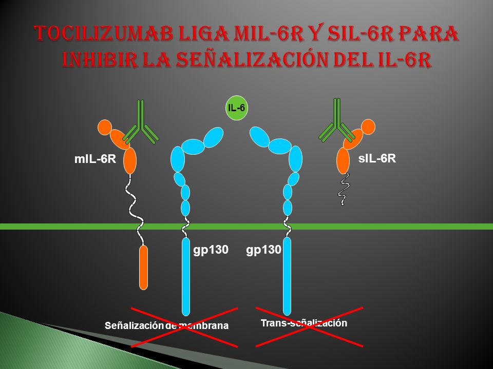 Tocilizumab liga mIL-6R y sIL-6R para inhibir la señalización del IL-6R