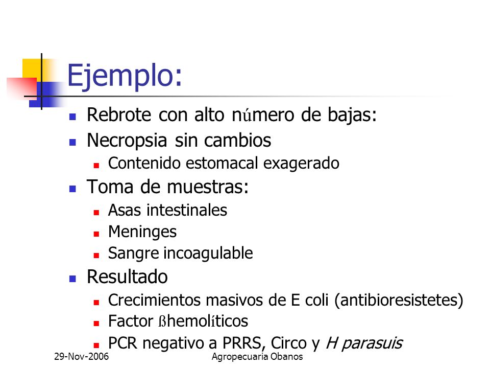 Ejemplo: Rebrote con alto número de bajas: Necropsia sin cambios