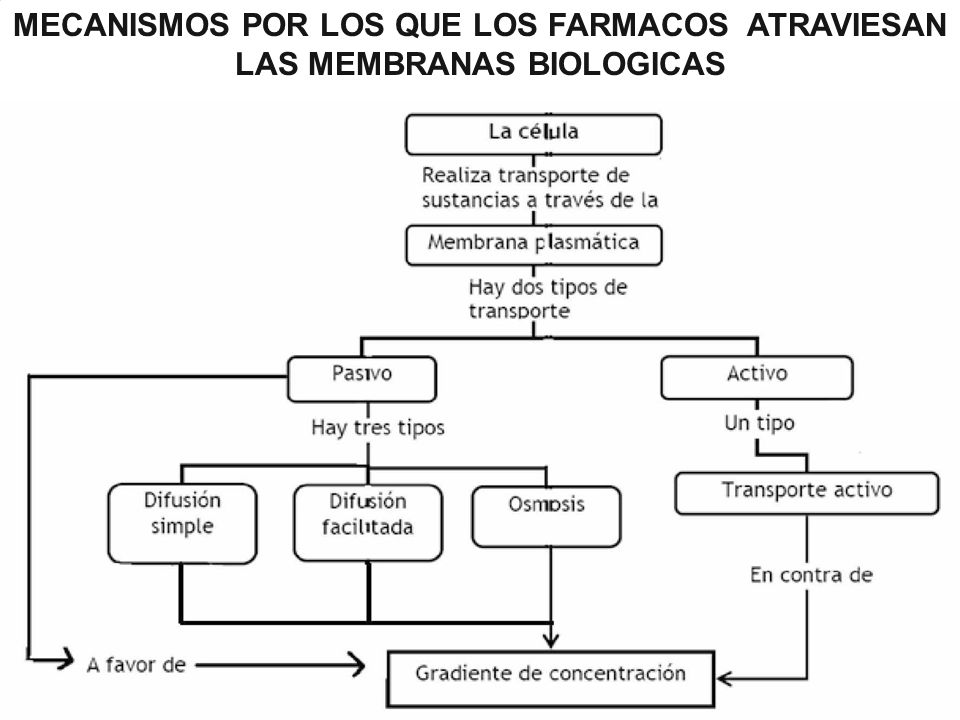 MECANISMOS POR LOS QUE LOS FARMACOS ATRAVIESAN LAS MEMBRANAS BIOLOGICAS