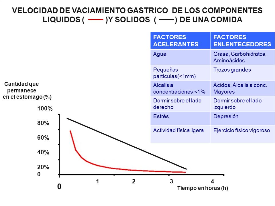 VELOCIDAD DE VACIAMIENTO GASTRICO DE LOS COMPONENTES LIQUIDOS ( )Y SOLIDOS ( ) DE UNA COMIDA