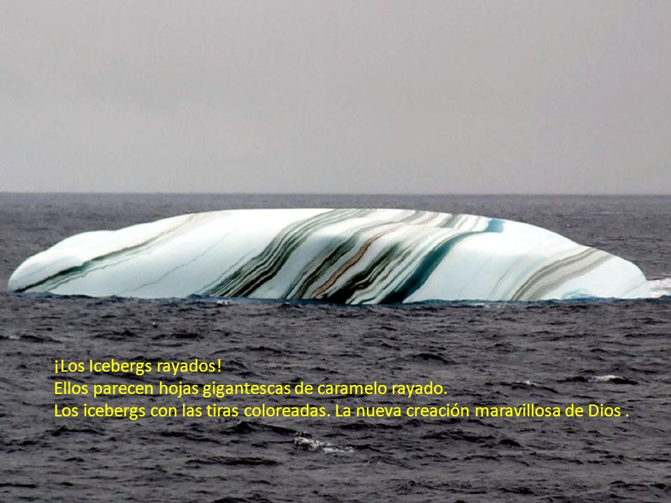 ¡Los Icebergs rayados! Ellos parecen hojas gigantescas de caramelo rayado.