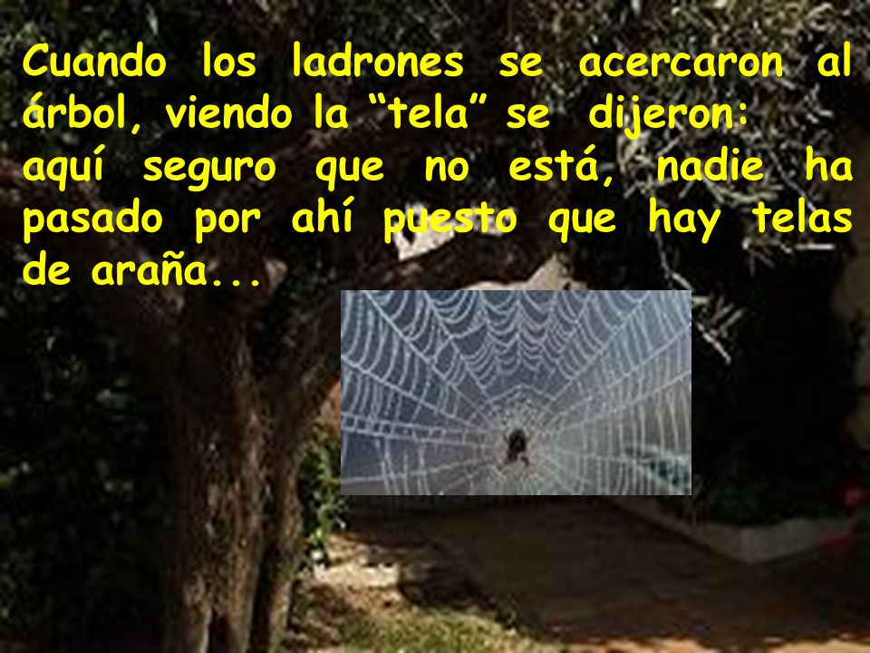 Cuando los ladrones se acercaron al árbol, viendo la tela se dijeron: