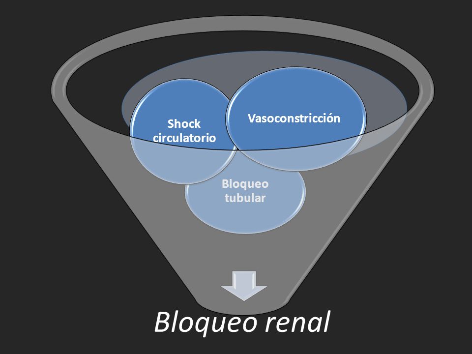 Bloqueo renal Bloqueo tubular Shock circulatorio Vasoconstricción