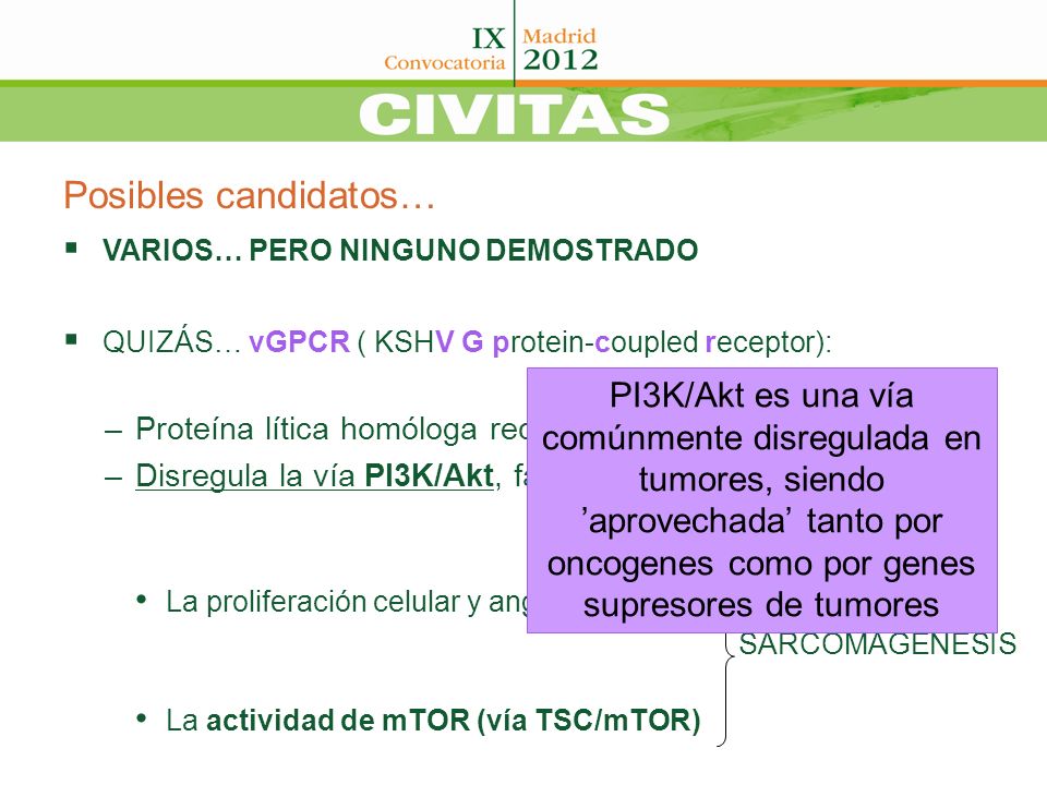 Posibles candidatos… VARIOS… PERO NINGUNO DEMOSTRADO. QUIZÁS… vGPCR ( KSHV G protein-coupled receptor):