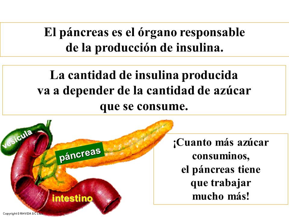 El páncreas es el órgano responsable de la producción de insulina.