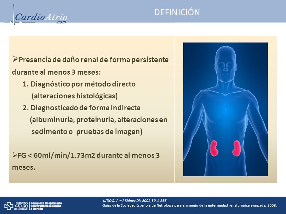 Presencia de daño renal de forma persistente durante al menos 3 meses: