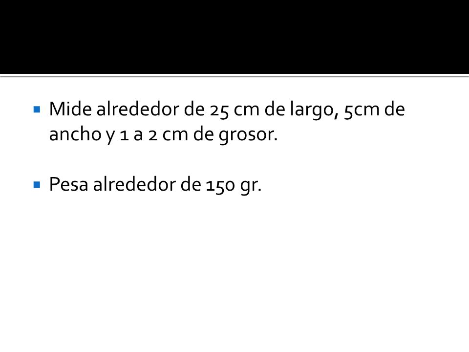 Mide alrededor de 25 cm de largo, 5cm de ancho y 1 a 2 cm de grosor.