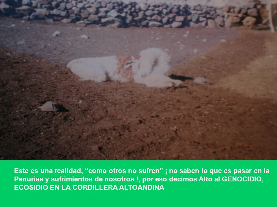 Este es una realidad, como otros no sufren ¡ no saben lo que es pasar en la