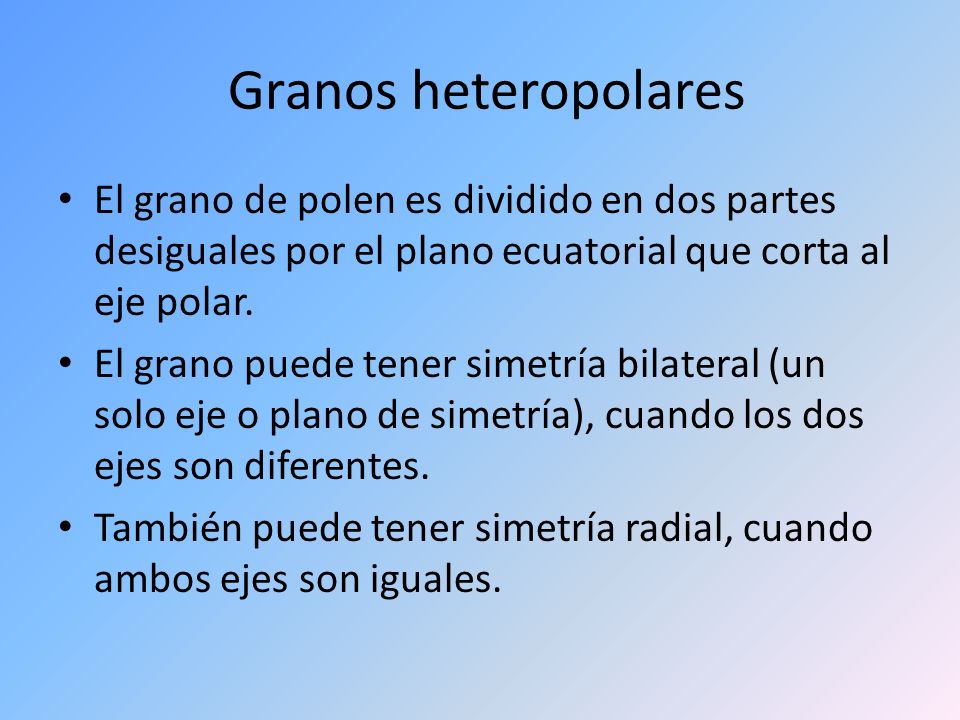 Granos heteropolares El grano de polen es dividido en dos partes desiguales por el plano ecuatorial que corta al eje polar.