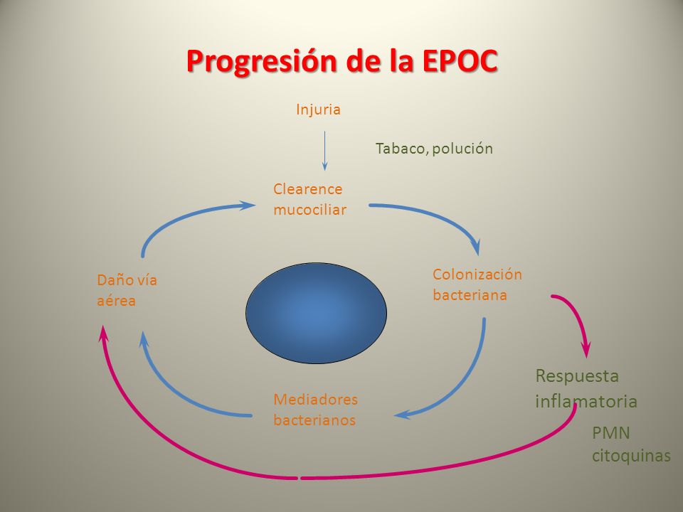 Progresión de la EPOC Respuesta inflamatoria PMN citoquinas Injuria