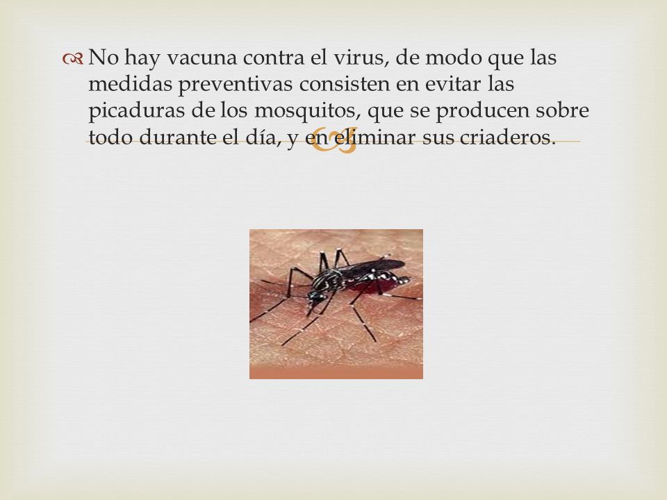 No hay vacuna contra el virus, de modo que las medidas preventivas consisten en evitar las picaduras de los mosquitos, que se producen sobre todo durante el día, y en eliminar sus criaderos.