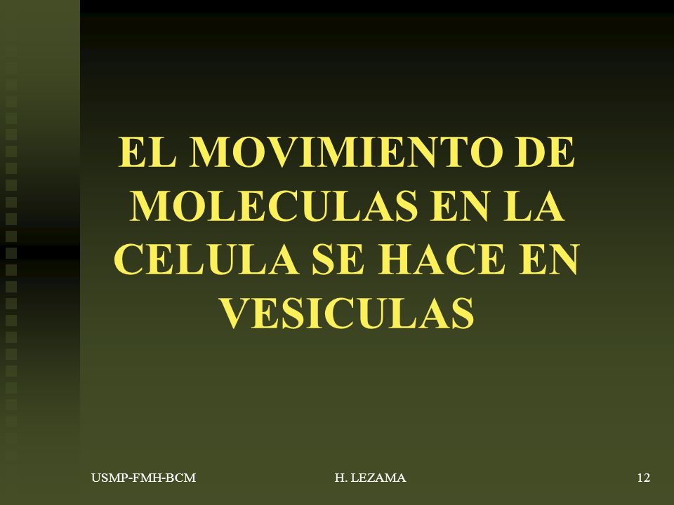 EL MOVIMIENTO DE MOLECULAS EN LA CELULA SE HACE EN VESICULAS