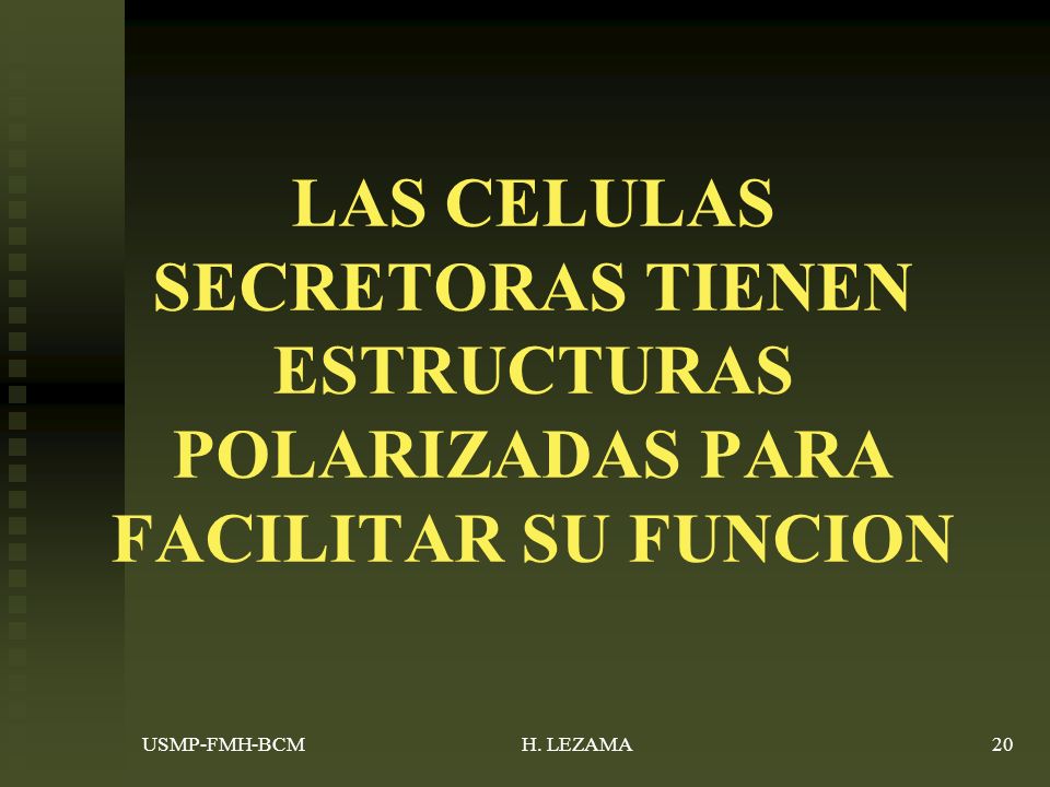 LAS CELULAS SECRETORAS TIENEN ESTRUCTURAS POLARIZADAS PARA FACILITAR SU FUNCION