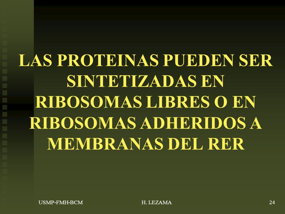 LAS PROTEINAS PUEDEN SER SINTETIZADAS EN RIBOSOMAS LIBRES O EN RIBOSOMAS ADHERIDOS A MEMBRANAS DEL RER