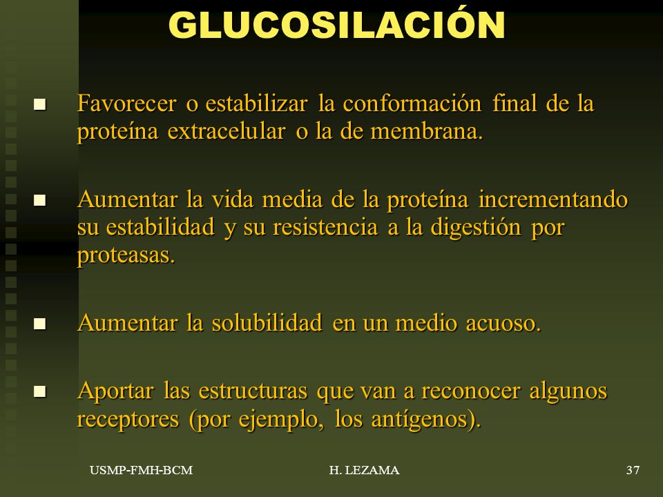 GLUCOSILACIÓN Favorecer o estabilizar la conformación final de la proteína extracelular o la de membrana.