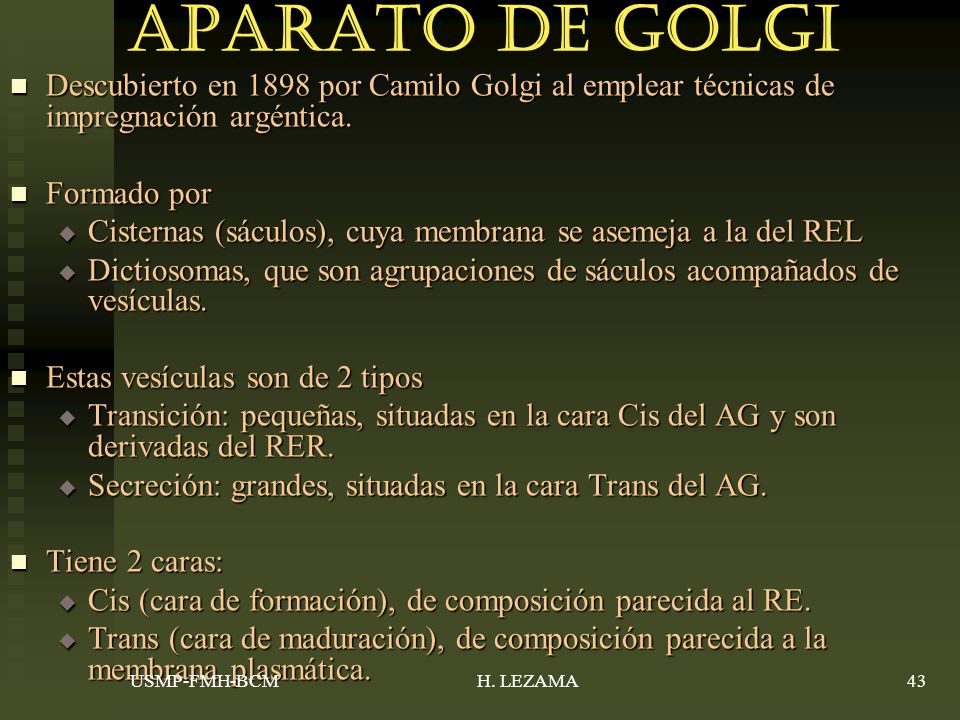 Aparato de Golgi Descubierto en 1898 por Camilo Golgi al emplear técnicas de impregnación argéntica.